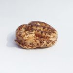 Hazel Adder